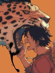 monkey d. luffy from one piece