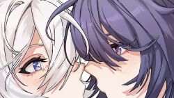 kiana kaslana from honkai (series)