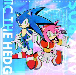 amy rose from sonic (series)