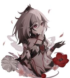 fu hua from honkai (series)