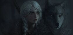 ciri from the witcher (series)