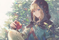 link from the legend of zelda by lino chang