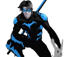 dick grayson from batman (series)