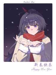 raiden mei from honkai (series)