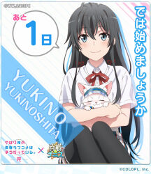 yukinoshita yukino from yahari ore no seishun lovecome wa machigatteiru.
