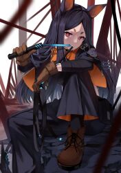 dobermann (arknights) from arknights