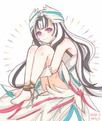veyle (fire emblem) from fire emblem