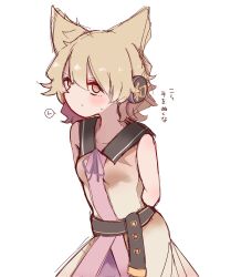 toyosatomimi no miko from touhou