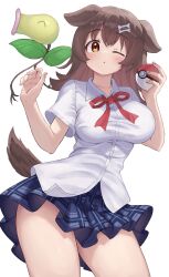 bellsprout from hololive