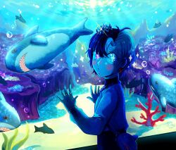 rin penrose fan art