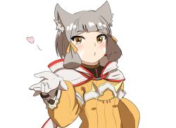 nia (xenoblade) from xenoblade chronicles (series)