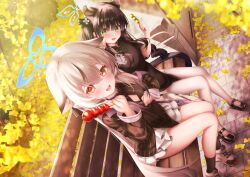kokona (blue archive) from blue archive