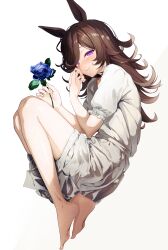 rice shower (umamusume) from umamusume