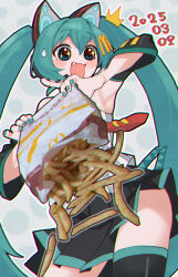 hatsune miku from mcdonald's