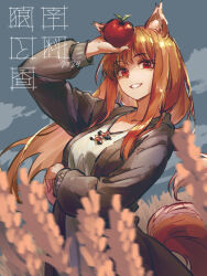 holo from spice and wolf