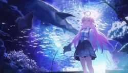 hoshino (blue archive) from blue archive