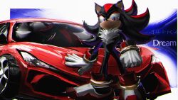 shadow the hedgehog from sonic (series)