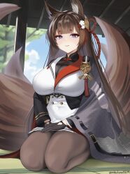 amagi (aircraft carrier) (azur lane) from azur lane