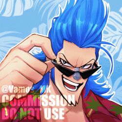 franky (one piece) from one piece
