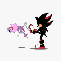 blaze the cat from sonic (series) by stellarspin