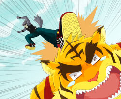 kouya aotsuki from morenatsu