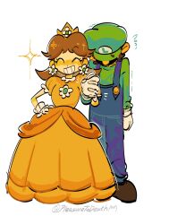 luigi from super mario bros.