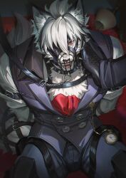 von lycaon from zenless zone zero