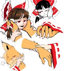 hakurei reimu from thundercats