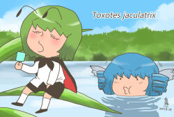 wakasagihime from touhou by onikobe rin