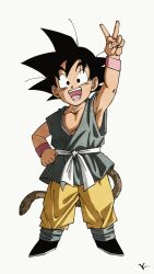 son goku from dragon ball by kakeru (dbskakeru)