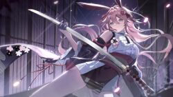 yae sakura from honkai (series)