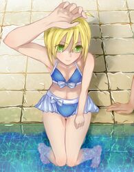 fate/stay night fan art
