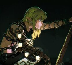 link from the legend of zelda by sophie (693432)
