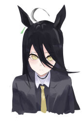 manhattan cafe (umamusume) from umamusume