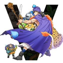 borongo from dragon quest