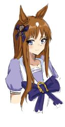 grass wonder (umamusume) from umamusume