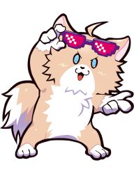 crazy raccoon fan art