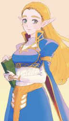 princess zelda from the legend of zelda