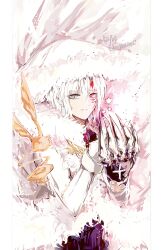 allen walker from d.gray-man