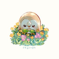 rowlet from pokemon