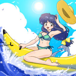 tendou akane from ranma 1/2 by wanta (futoshi)