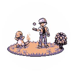 charmander from pokemon