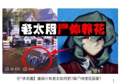 kazami yuuka from touhou by guru.zong
