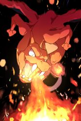 charizard from pokemon