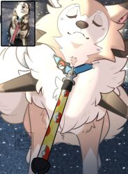 lycanroc from pokemon