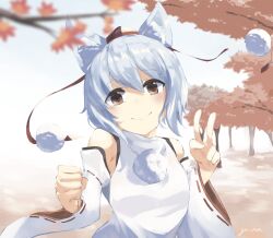 inubashiri momiji from touhou