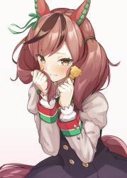 nice nature (umamusume) from umamusume