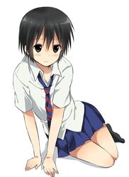 tadakuni from danshi koukousei no nichijou by maruki (punchiki)