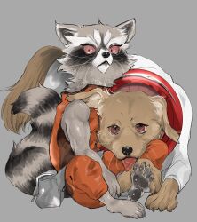 rocket raccoon from guardians of the galaxy