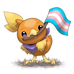 torchic from pokemon